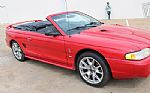 1997 Mustang Cobra SVT Convertible Thumbnail 22