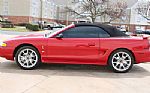 1997 Mustang Cobra SVT Convertible Thumbnail 30