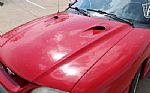 1997 Mustang Cobra SVT Convertible Thumbnail 52