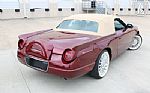 2004 Thunderbird Thumbnail 18