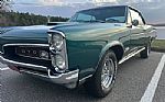 1966 GTO Thumbnail 9