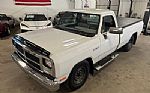 1993 Ram 250 Thumbnail 16
