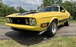 1973 Mustang Thumbnail 13