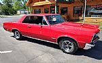 1965 GTO Thumbnail 69