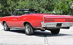 1966 GTO Thumbnail 6