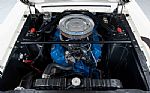 1967 Mustang Shelby Group II Racecar Thumbnail 45