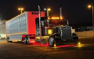 Photo of a 2019 Kenworth W900L for sale