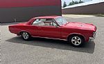 1964 GTO Thumbnail 50