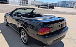 1999 Mustang SVT Cobra Thumbnail 8