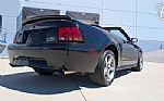 1999 Mustang SVT Cobra Thumbnail 16