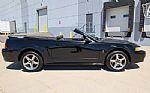 1999 Mustang SVT Cobra Thumbnail 18