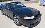 1999 Mustang SVT Cobra Thumbnail 20