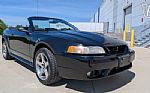 1999 Mustang SVT Cobra Thumbnail 21
