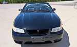 1999 Mustang SVT Cobra Thumbnail 23