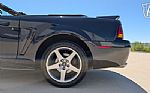 1999 Mustang SVT Cobra Thumbnail 34