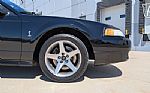 1999 Mustang SVT Cobra Thumbnail 43