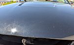 1999 Mustang SVT Cobra Thumbnail 46