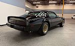 1979 Firebird Thumbnail 6