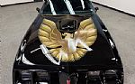 1979 Firebird Thumbnail 9