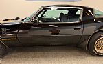1979 Firebird Thumbnail 14