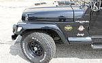 2001 Wrangler TJ Sahara Thumbnail 25