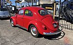 1964 BEETLE Thumbnail 5
