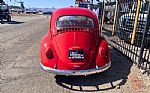 1964 BEETLE Thumbnail 6