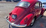 1964 BEETLE Thumbnail 7