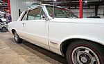 1964 GTO Thumbnail 36
