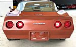 1981 Corvette Thumbnail 7