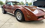 1981 Corvette Thumbnail 19