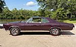 1967 GTO Thumbnail 6