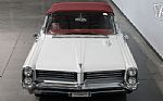 1964 Catalina Thumbnail 5