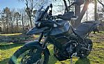 2023 Tiger 900 Rally Pro Bond Editi Thumbnail 3
