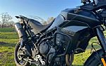 2023 Tiger 900 Rally Pro Bond Editi Thumbnail 4