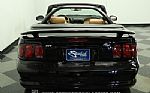 1998 Mustang Cobra Convertible Thumbnail 9