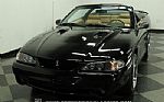 1998 Mustang Cobra Convertible Thumbnail 17