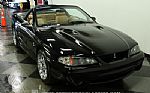 1998 Mustang Cobra Convertible Thumbnail 15