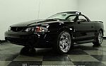 1998 Mustang Cobra Convertible Thumbnail 21