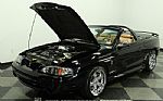 1998 Mustang Cobra Convertible Thumbnail 30