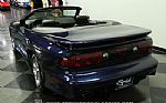 2001 Firebird Trans Am Convertible Thumbnail 8
