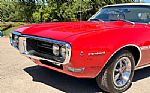 1968 Firebird HO Thumbnail 45
