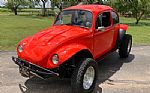 1969 Beetle Thumbnail 1