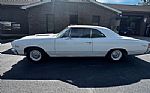 1967 Chevelle SS 396 Thumbnail 2