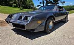 1980 Firebird Trans Am Thumbnail 1