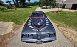 1980 Firebird Trans Am Thumbnail 17