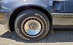 1980 Firebird Trans Am Thumbnail 72