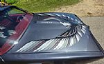 1980 Firebird Trans Am Thumbnail 74