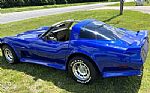1979 Corvette Thumbnail 42