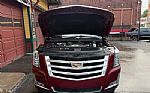 2018 Escalade Thumbnail 25